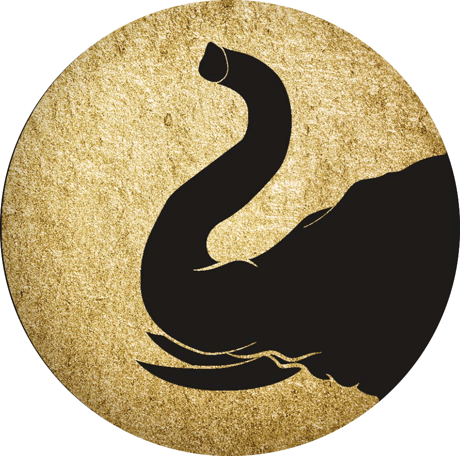 Logo My Thai